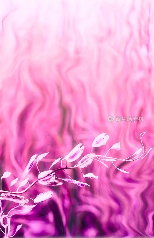 Abstract wavy purple and pink plant seeds and stem